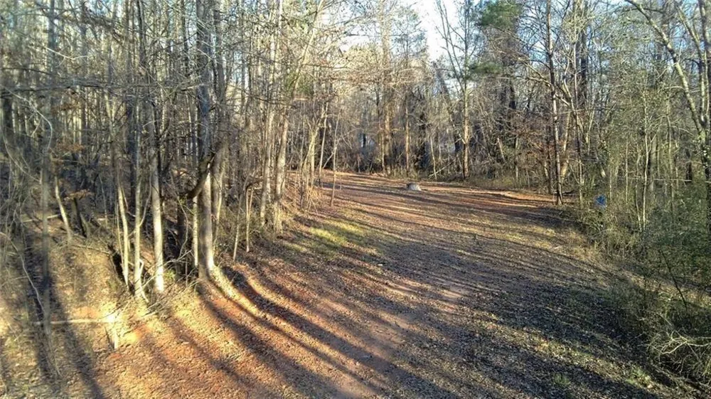 0 Collier Street SW Covington, GA 30014