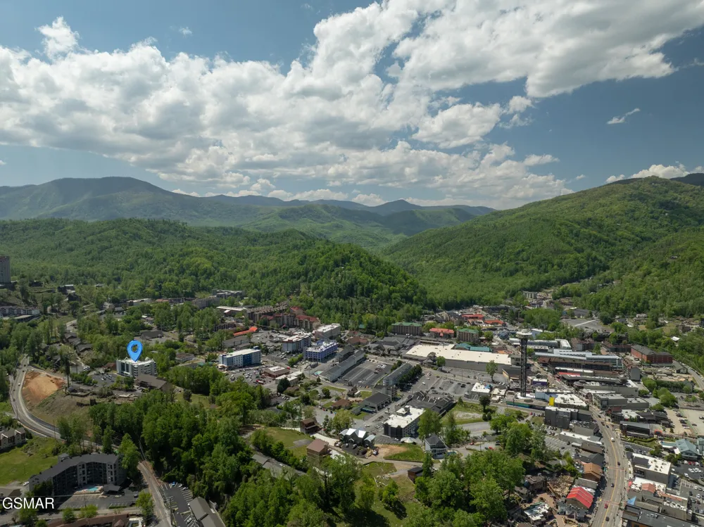354 E Holly Ridge Road #401 Gatlinburg, TN 37738