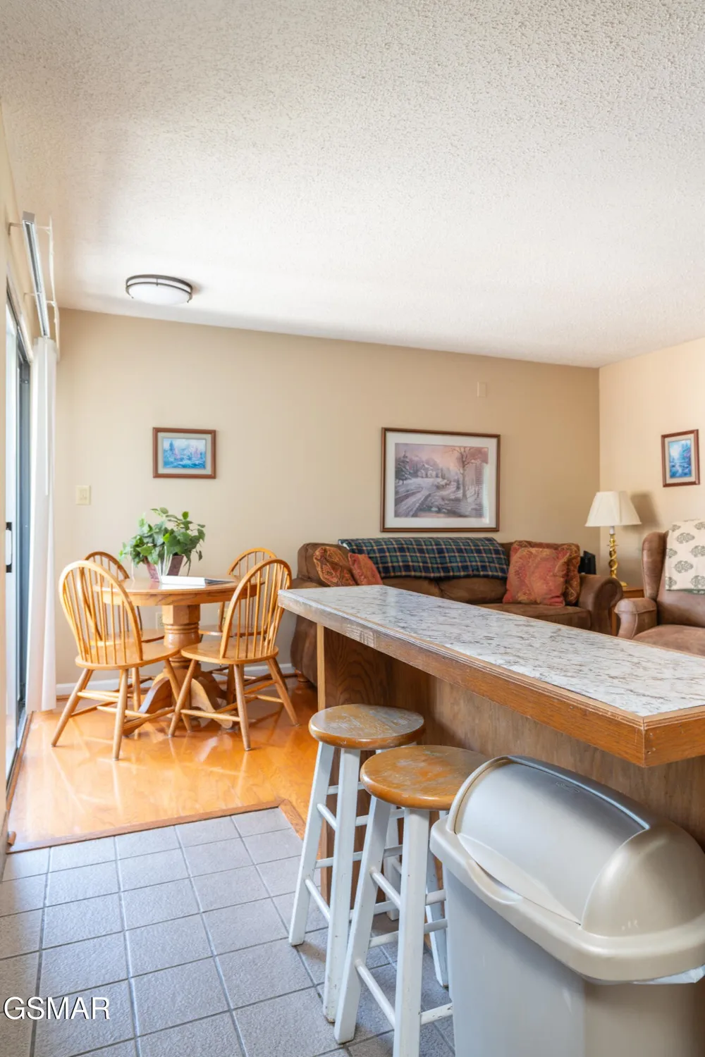354 E Holly Ridge Road #401 Gatlinburg, TN 37738