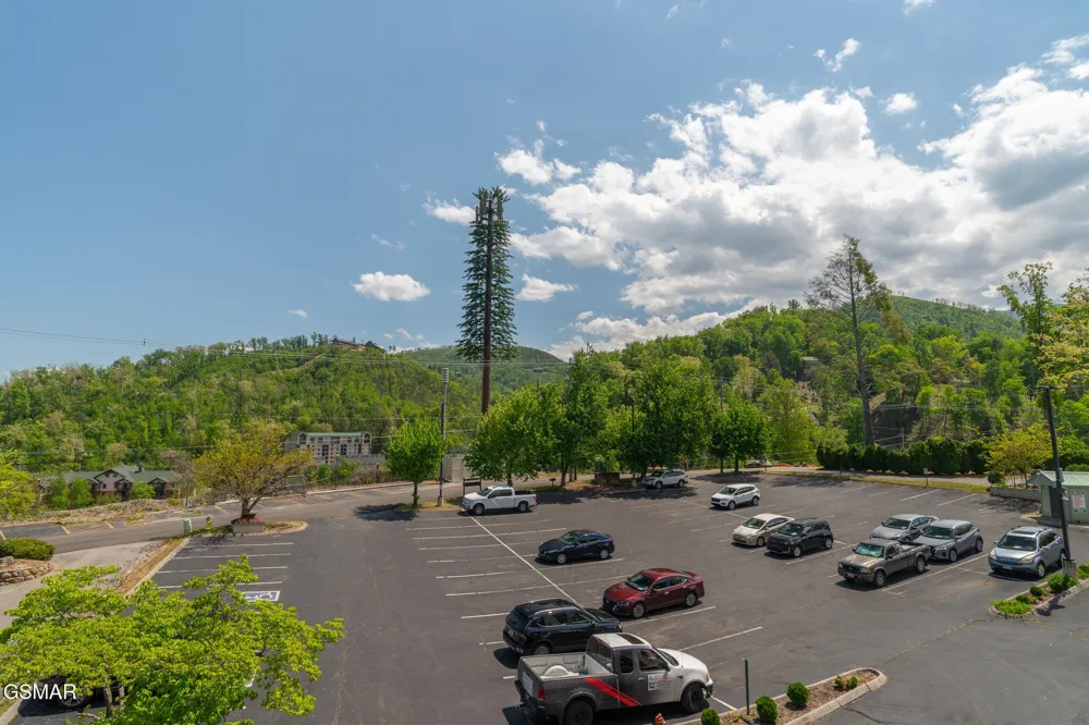 354 E Holly Ridge Road #401 Gatlinburg, TN 37738