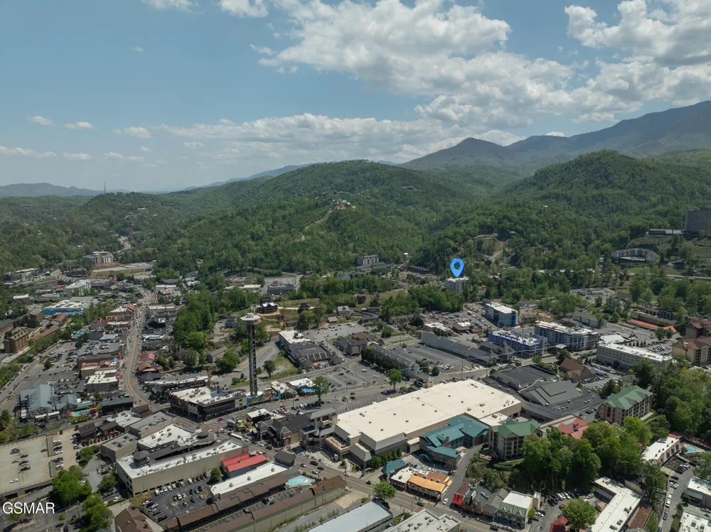 354 E Holly Ridge Road #401 Gatlinburg, TN 37738