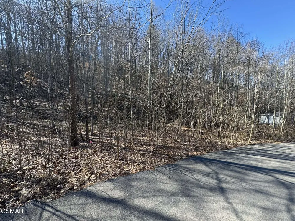 27 Blue Springs Way Newport, TN 37821