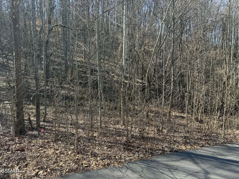 27 Blue Springs Way Newport, TN 37821