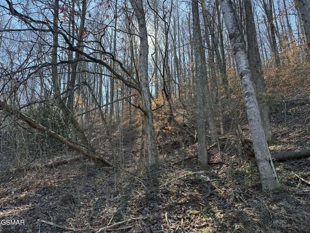 27 Blue Springs Way Newport, TN 37821