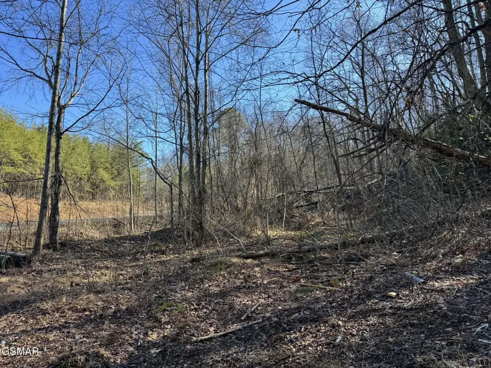 27 Blue Springs Way Newport, TN 37821