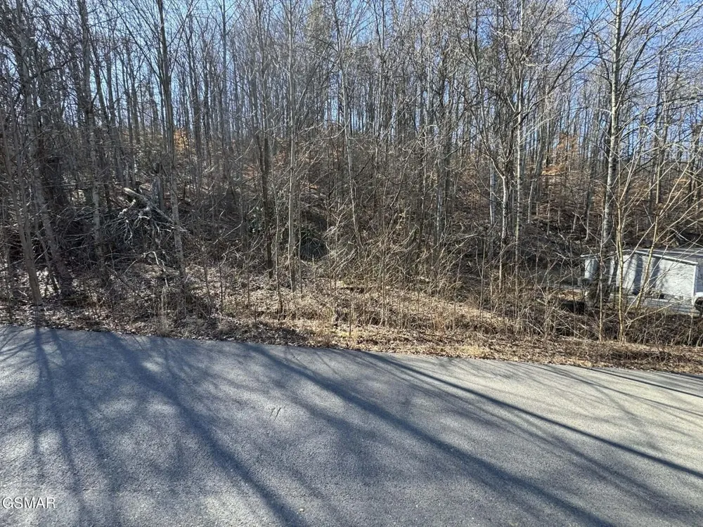 27 Blue Springs Way Newport, TN 37821