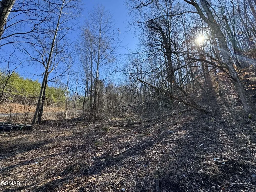 27 Blue Springs Way Newport, TN 37821