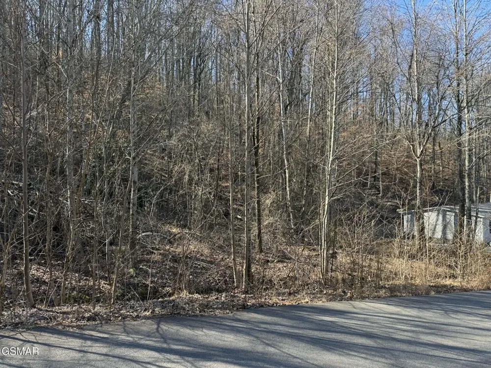 27 Blue Springs Way Newport, TN 37821