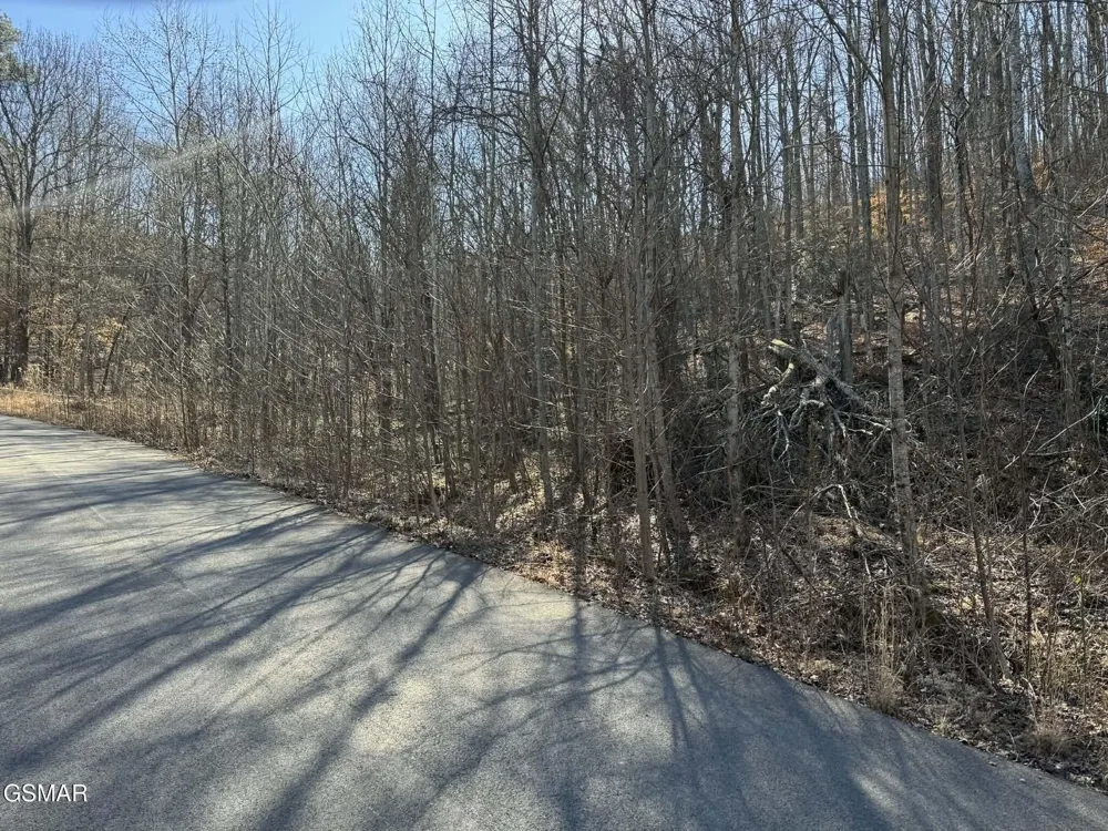 27 Blue Springs Way Newport, TN 37821