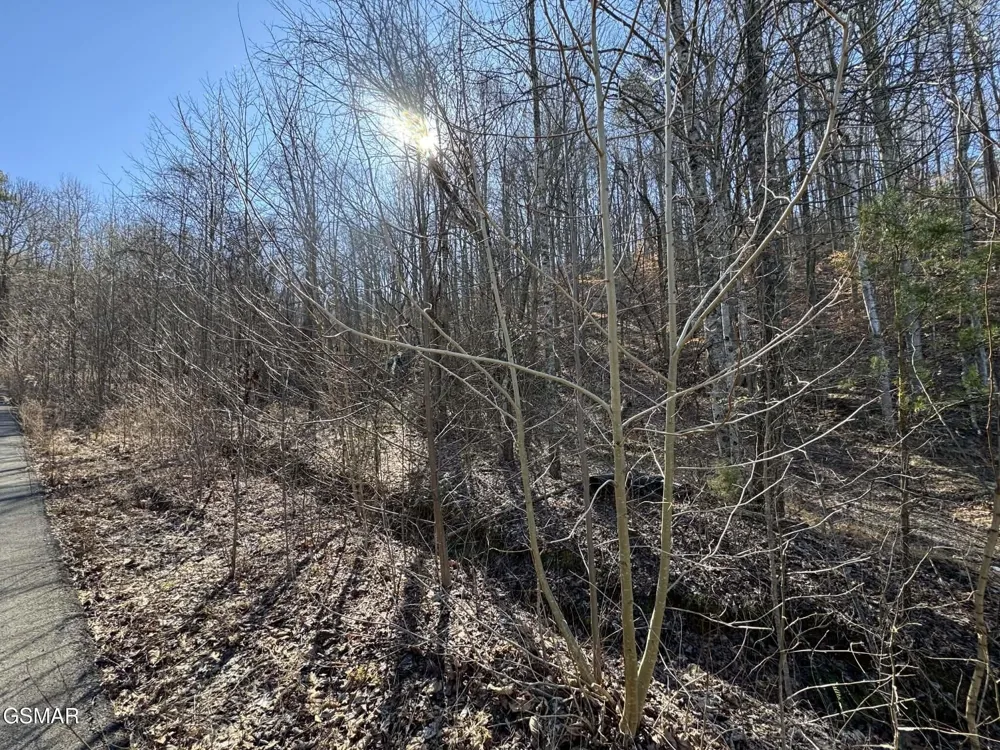 27 Blue Springs Way Newport, TN 37821