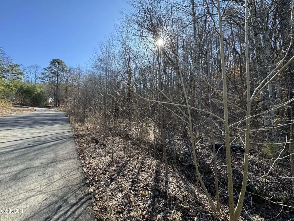 27 Blue Springs Way Newport, TN 37821