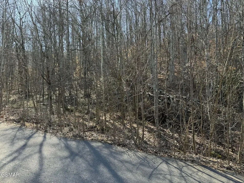 27 Blue Springs Way Newport, TN 37821