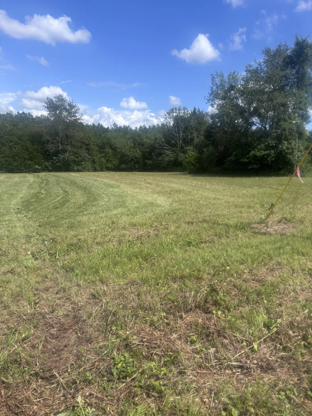 152 Osteen Ln Chapel Hill, TN 37034