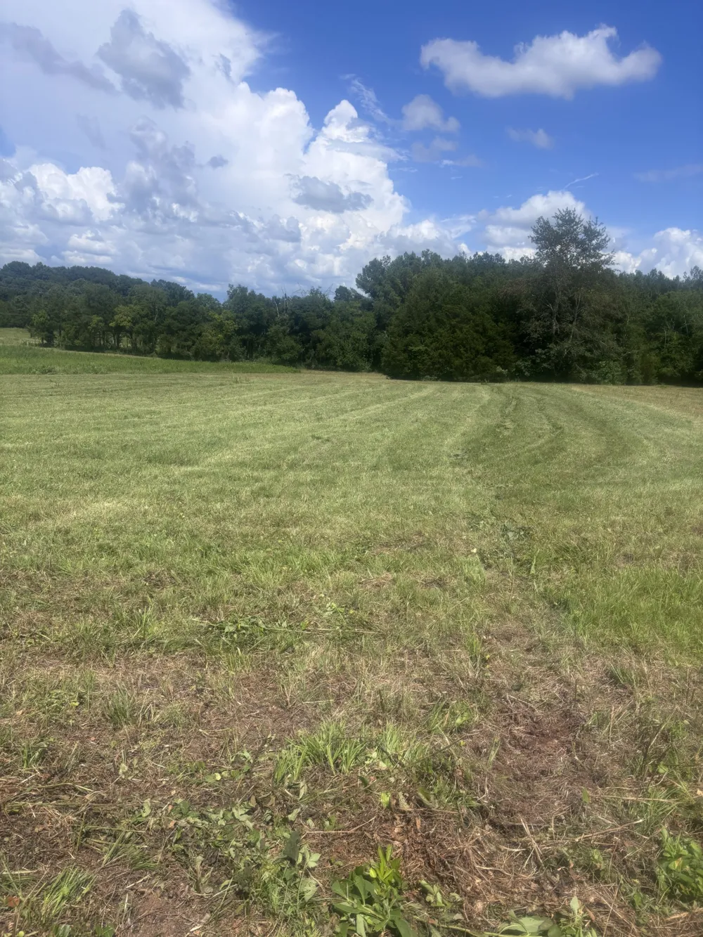 152 Osteen Ln Chapel Hill, TN 37034