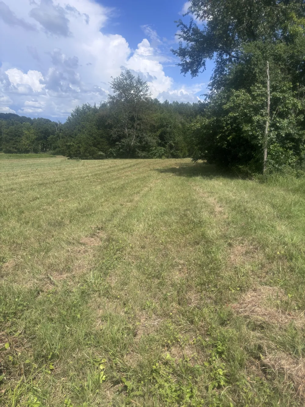 152 Osteen Ln Chapel Hill, TN 37034