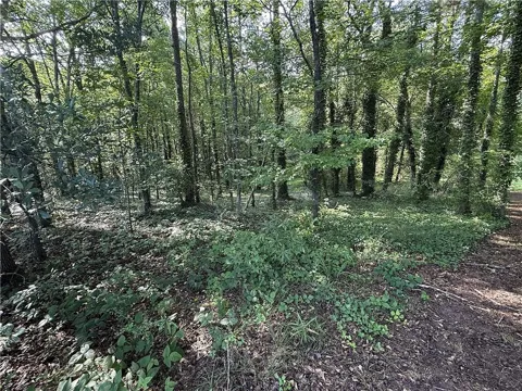 0 Boxer Lane