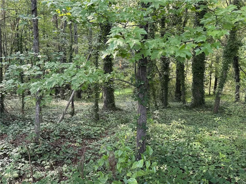 0 Boxer Lane Cumming, GA 30028
