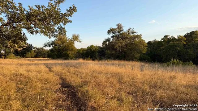 21789 FM 2093 Harper, TX 78631