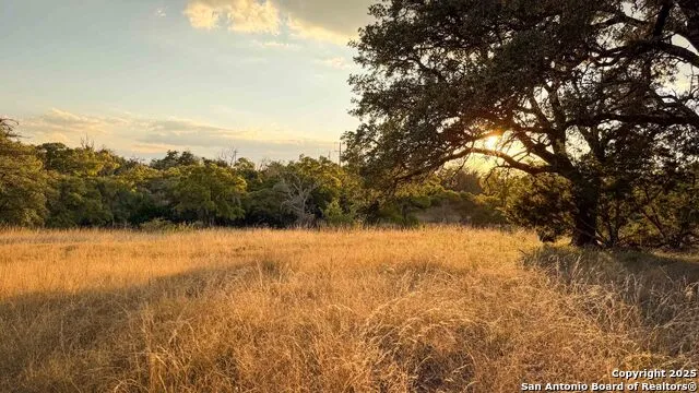 21789 FM 2093 Harper, TX 78631