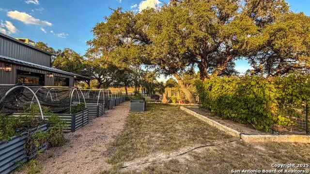21789 FM 2093 Harper, TX 78631