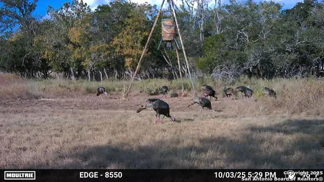 21789 FM 2093 Harper, TX 78631