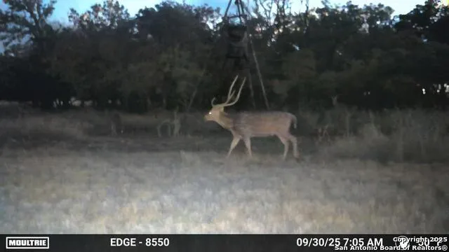 21789 FM 2093 Harper, TX 78631