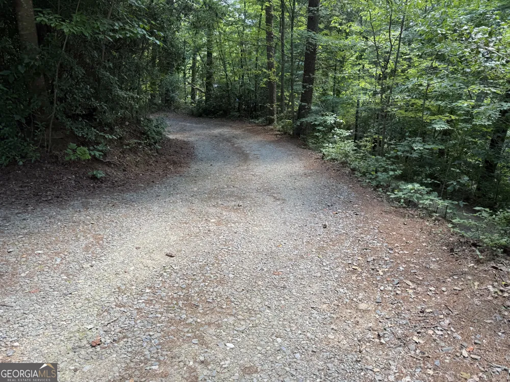 204 Dover Chapel TER Ellijay, GA 30540