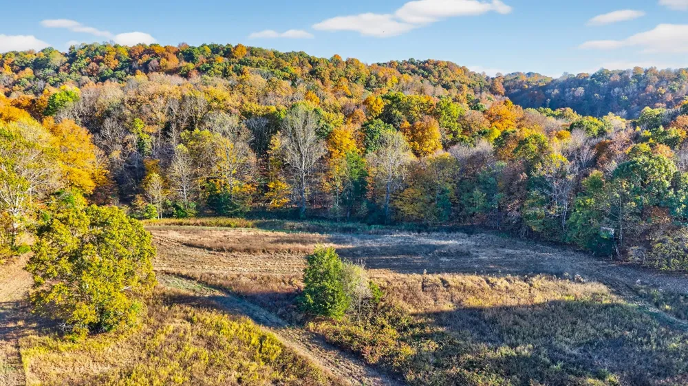 0 County House Rd Cottontown, TN 37048