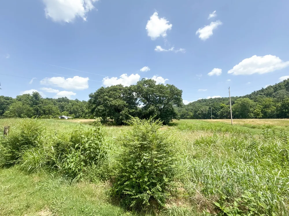 0 County House Rd Cottontown, TN 37048