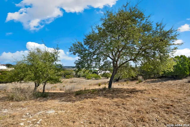 1179 Mystic Pkwy Spring Branch, TX 78070