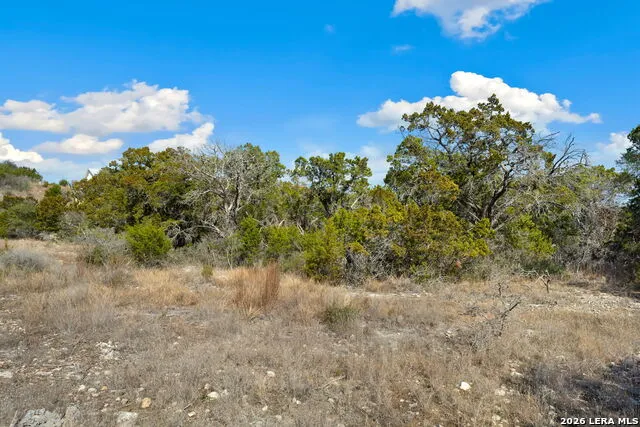 1179 Mystic Pkwy Spring Branch, TX 78070