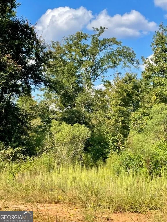 0 Highway 36 E Jackson, GA 30233