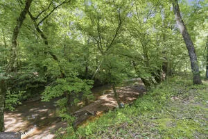 138 Posey DR Gray, GA 31032