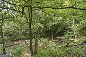 138 Posey DR Gray, GA 31032
