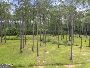 138 Posey DR Gray, GA 31032