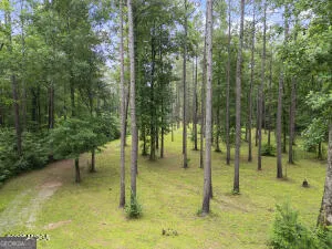 138 Posey DR Gray, GA 31032