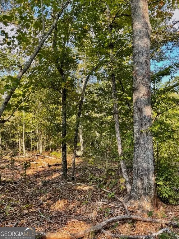 0 Highway 36 E Jackson, GA 30233