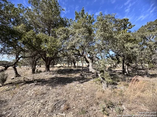 34706 Deeanne Valley Bulverde, TX 78163