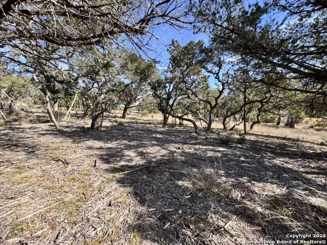 34706 Deeanne Valley Bulverde, TX 78163