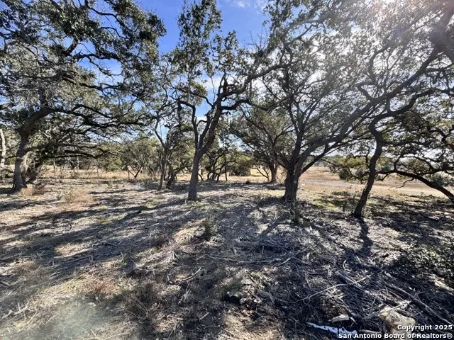 34706 Deeanne Valley Bulverde, TX 78163
