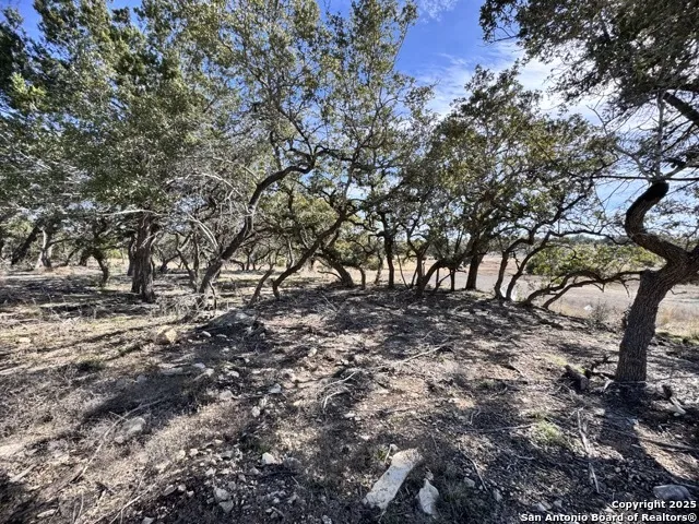 34706 Deeanne Valley Bulverde, TX 78163