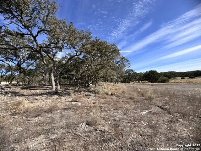 34706 Deeanne Valley Bulverde, TX 78163
