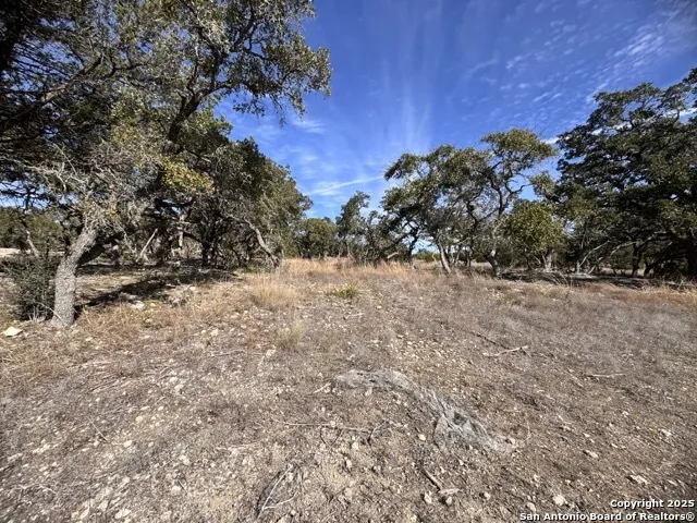 34706 Deeanne Valley Bulverde, TX 78163