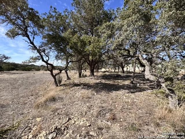 34706 Deeanne Valley Bulverde, TX 78163