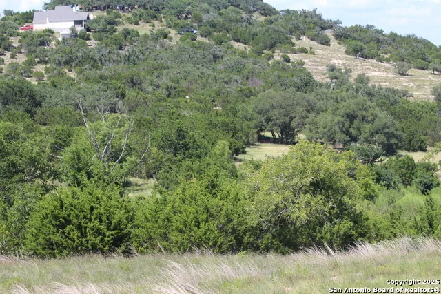 239 Flickering Sky Circle Blanco, TX 78606