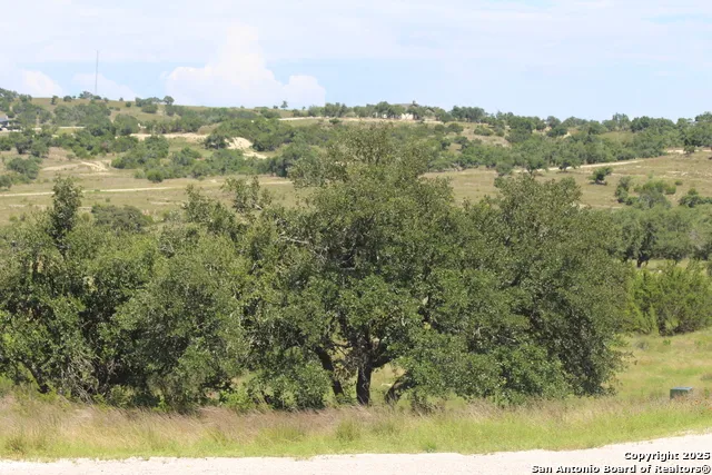 239 Flickering Sky Circle Blanco, TX 78606