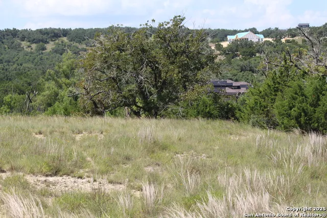239 Flickering Sky Circle Blanco, TX 78606
