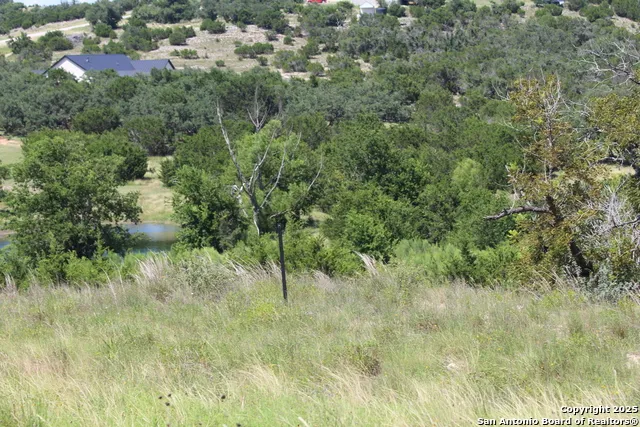239 Flickering Sky Circle Blanco, TX 78606