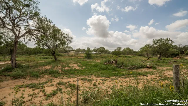 1062 County Road 122 Lot 4 Floresville, TX 78114