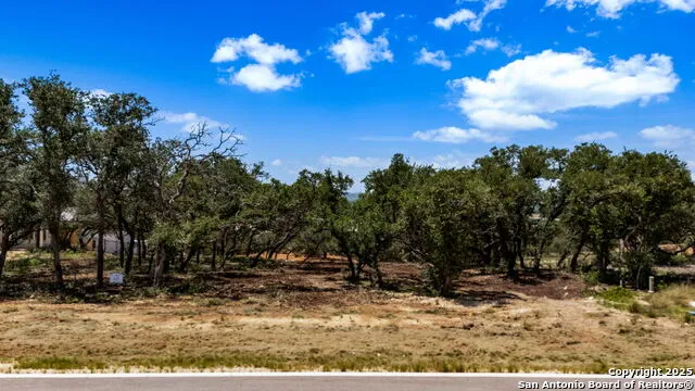 681 TRAVIS FOREST DR Bulverde, TX 78163